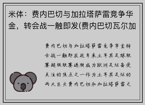 米体：费内巴切与加拉塔萨雷竞争华金，转会战一触即发(费内巴切瓦尔加斯)